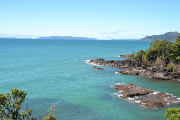 Zdjęcie z Nowej Zelandii - Polwysep Coromandel