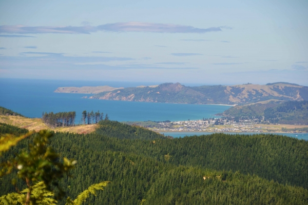 Zdjęcie z Nowej Zelandii - Polwysep Coromandel