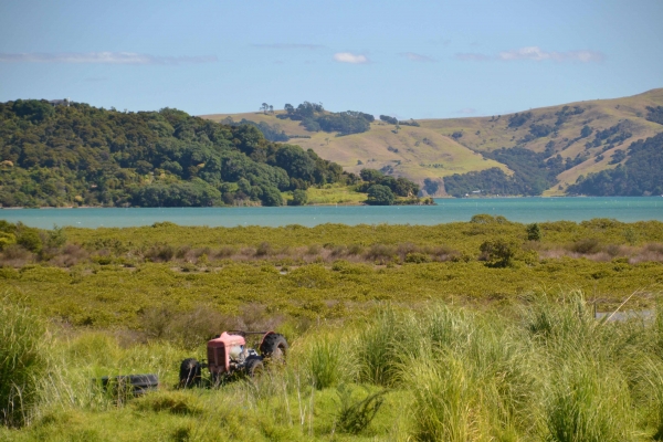 Zdjęcie z Nowej Zelandii - Okolice Coromandel