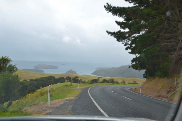 Zdjęcie z Nowej Zelandii - W drodzie z Paihia do Coromandel