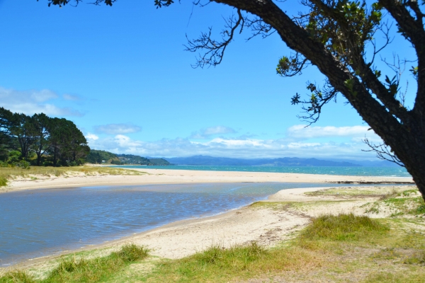 Zdjęcie z Nowej Zelandii - Okolice Coromandel