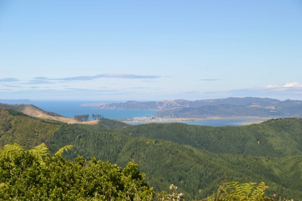 Zdjęcie z Nowej Zelandii - Okolice Coromandel