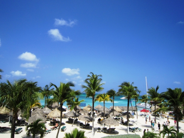 Zdjęcie z Aruby - Palm Beach