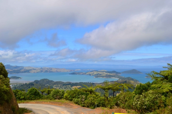 Zdjęcie z Nowej Zelandii - Polwysep Coromandel