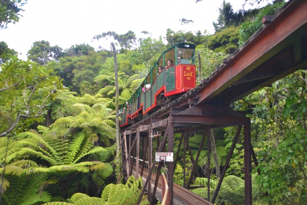 Zdjęcie z Nowej Zelandii - Kolejka Driving Creek Railway 