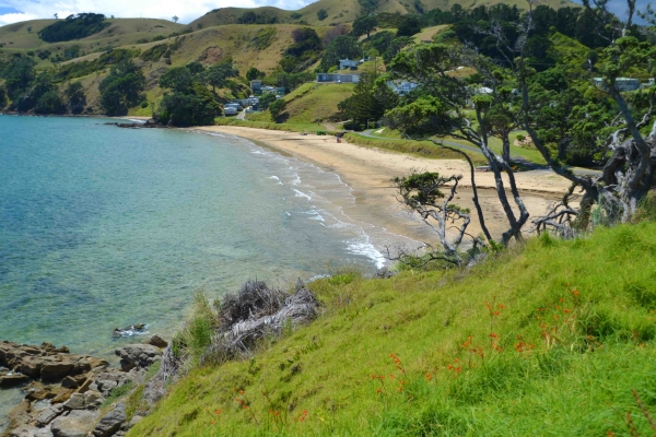 Zdjęcie z Nowej Zelandii - Polwysep Coromandel