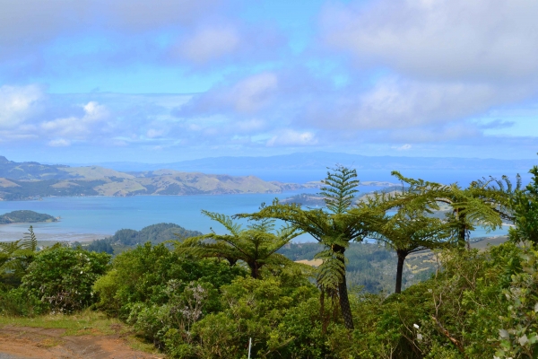 Zdjęcie z Nowej Zelandii - Polwysep Coromandel