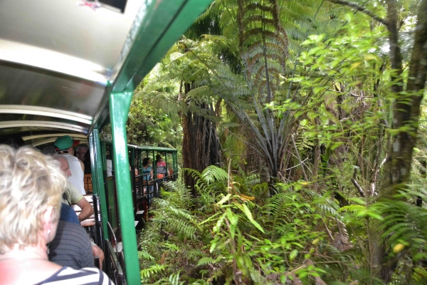 Zdjęcie z Nowej Zelandii - Jedziemy kolejka Driving Creek Railway 