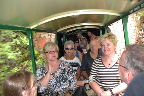 Zdjęcie z Nowej Zelandii - Jedziemy kolejka Driving Creek Railway 