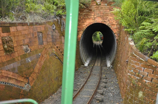 Zdjęcie z Nowej Zelandii - Na trasie Driving Creek Railway 