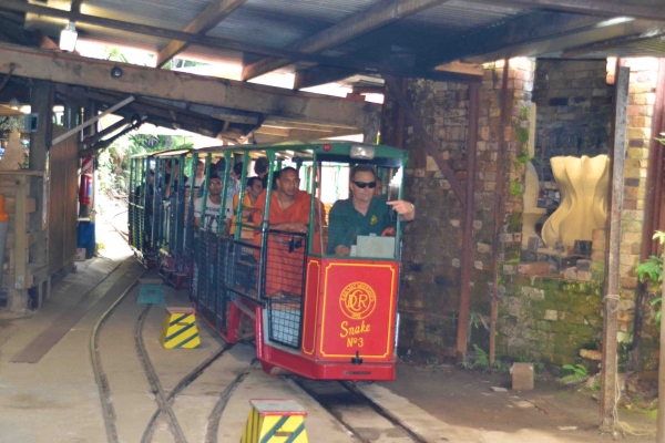 Zdjęcie z Nowej Zelandii - Kolejka Driving Creek Railway wjezdza na dolna stacje