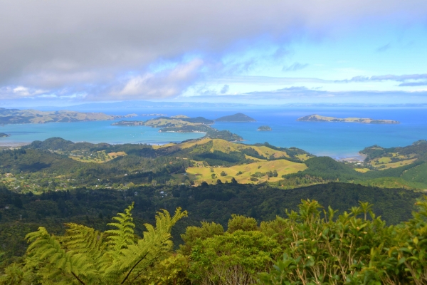 Zdjęcie z Nowej Zelandii - Zatoka Hauraki Gulf