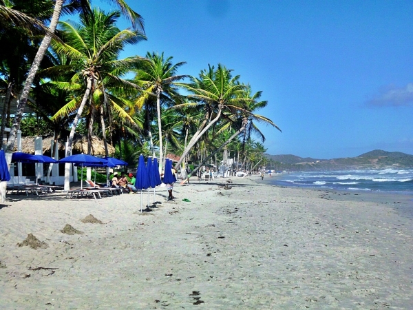 Zdjęcie z Wenezueli - Karaibska plaża