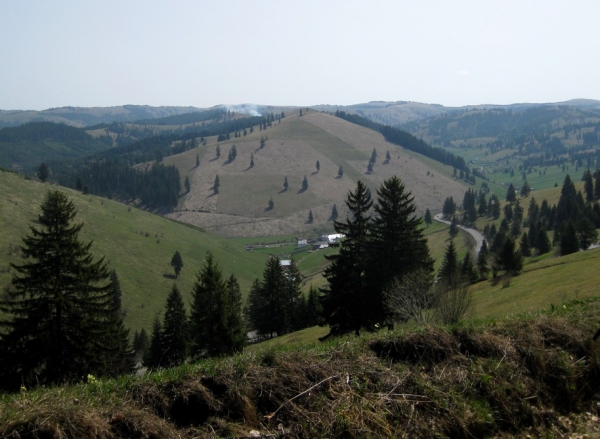 Zdjęcie z Rumunii - Góry Ciuk