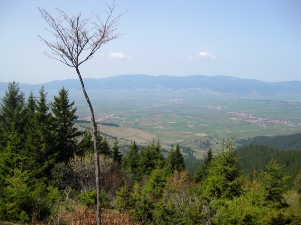 Zdjęcie z Rumunii - Góry Ciuk