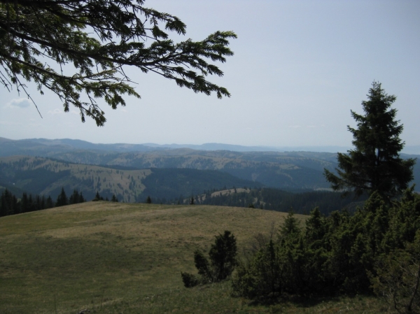 Zdjęcie z Rumunii - Góry Ciuk