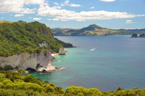 Zdjęcie z Nowej Zelandii - Cathedral Cove