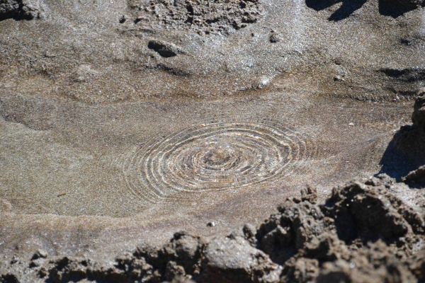 Zdjęcie z Nowej Zelandii - Hot Water Bech - goraca woda wyplywajaca z podziemi