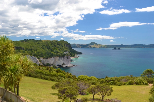 Zdjęcie z Nowej Zelandii - Cathedral Cove