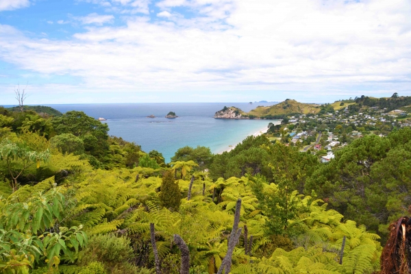 Zdjęcie z Nowej Zelandii - Zatoka Mercury Bay i miejscowosc Hahei Beach
