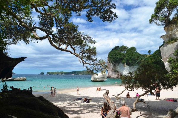 Zdjęcie z Nowej Zelandii - Cathedral Cove