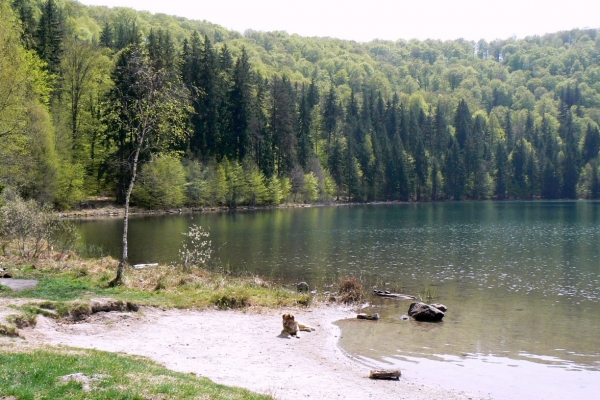 Zdjęcie z Rumunii - Jezioro św.Anny