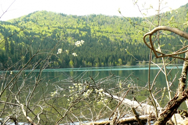 Zdjęcie z Rumunii - Jezioro św.Anny