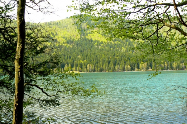 Zdjęcie z Rumunii - Jezioro św.Anny