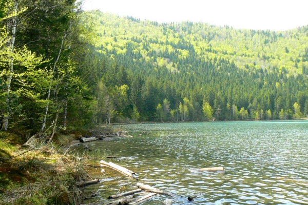 Zdjęcie z Rumunii - Jezioro św.Anny