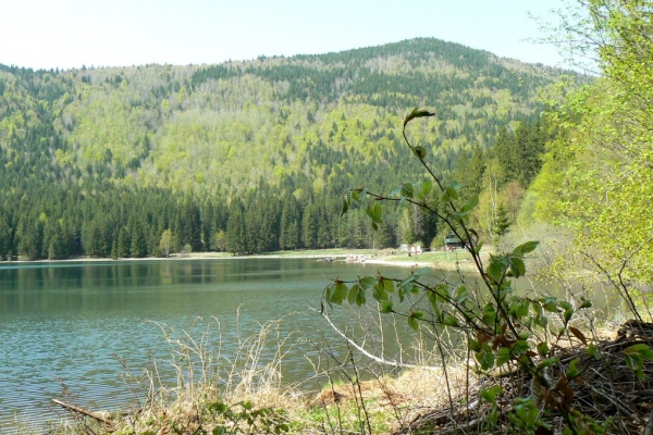 Zdjęcie z Rumunii - Jezioro św.Anny