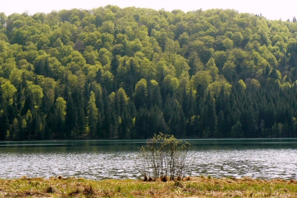 Zdjęcie z Rumunii - Jezioro św.Anny