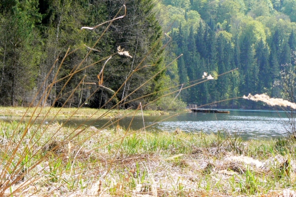 Zdjęcie z Rumunii - Jezioro św.Anny