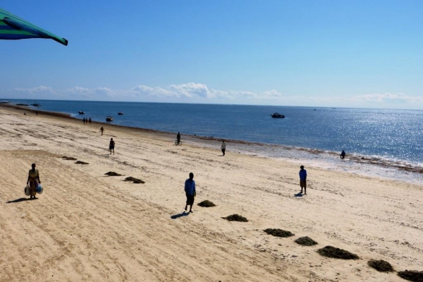 Zdjęcie z Kenii - plaże po odpływie trzeba grabić