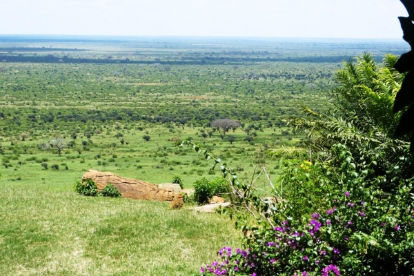 Zdjęcie z Kenii - widok z okna w prawo.... równina sawanny jak na dłoni