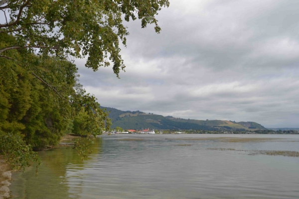 Zdjęcie z Nowej Zelandii - Jezioro Lake Rotorua