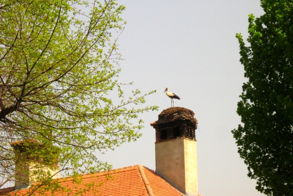 Zdjęcie z Rumunii - Prejmer