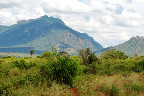 Zdjęcie z Kenii - widoki Tsavo West