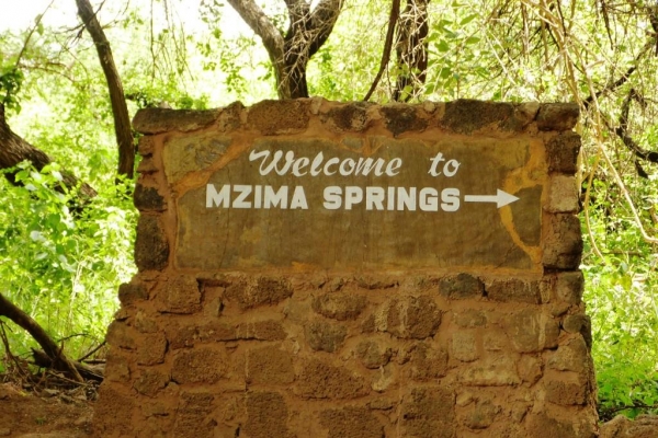 Zdjęcie z Kenii - Mzima Springs- królestwo krokodyli i hipopotamów