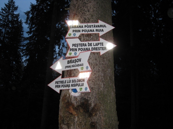 Zdjęcie z Rumunii - Poiana Brasov