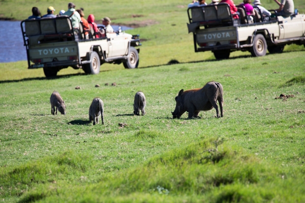 Zdjęcie z Republiki Półudniowej Afryki - LALIBELLA Safari