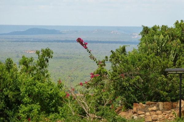 Zdjęcie z Kenii - sawanna, Tsavo Zachodnie