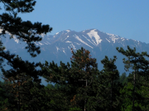 Zdjęcie z Rumunii - Karpaty