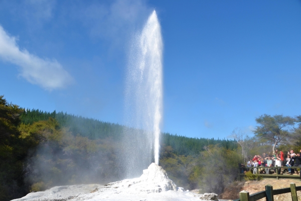 Zdjęcie z Nowej Zelandii - Lady Knox Geyser