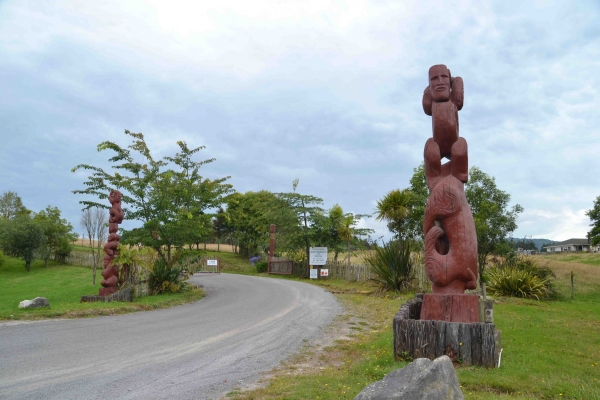 Zdjęcie z Nowej Zelandii - Maoryskie akcenty w drodze do Rotorua