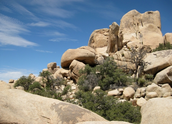 Zdjęcie ze Stanów Zjednoczonych - Joshua Tree N.Park