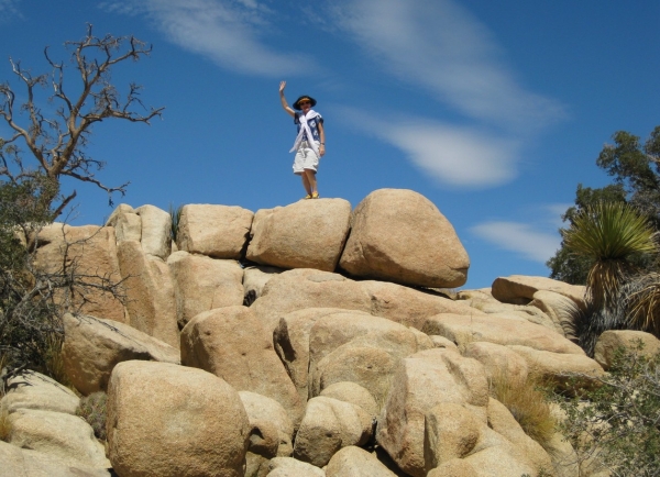 Zdjęcie ze Stanów Zjednoczonych - Joshua Tree N.Park