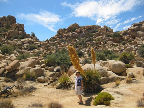 Zdjęcie ze Stanów Zjednoczonych - Joshua Tree N.Park