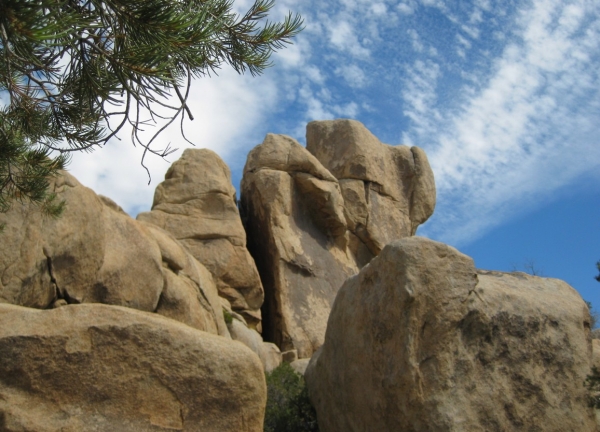 Zdjęcie ze Stanów Zjednoczonych - Joshua Tree N.Park