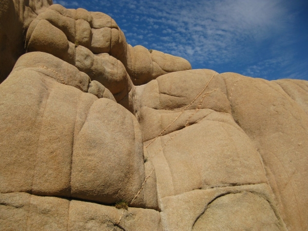 Zdjęcie ze Stanów Zjednoczonych - Joshua Tree N.Park