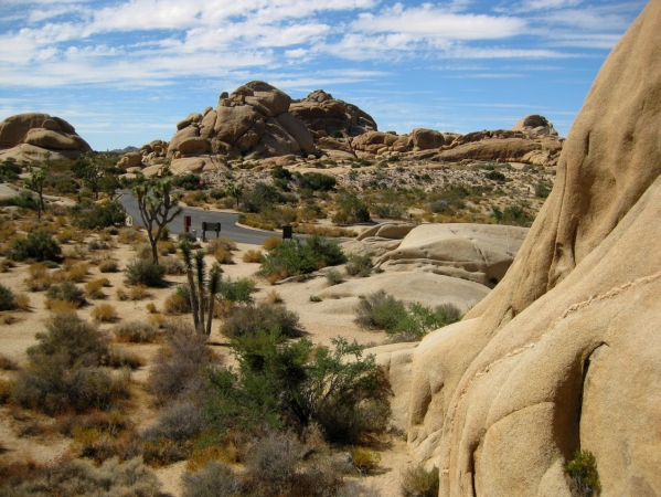 Zdjęcie ze Stanów Zjednoczonych - Joshua Tree N.Park